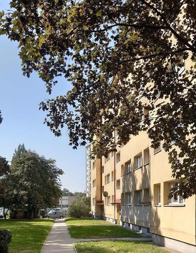 Eltowiec